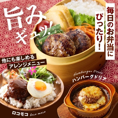 生ハンバーグミニ 50個セット(5個×10パック)冷凍でお届け 国産 牛肉 豚肉