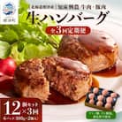 【毎月定期便】生ハンバーグ12個セット　冷凍 国産 牛肉 豚肉 ギフト 小分け 人気 全3回