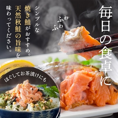 北海道標津産 天然 秋鮭 切身 (5切)【船上一本〆シリーズ】 