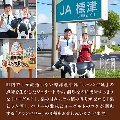 しべつ牛乳ジェラート 3種12個セット(ヨーグルト/栗とラム酒/クランベリー)