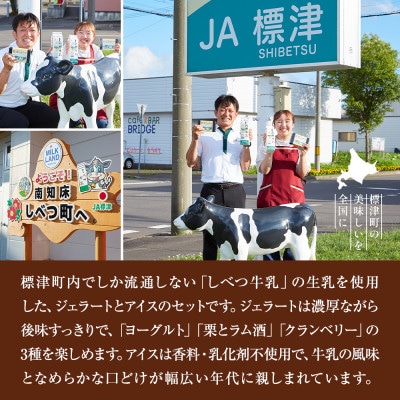 しべつ牛乳ジェラート3種(ヨーグルト/栗とラム酒/クランベリー)・しべつ牛乳アイス 計6個セット