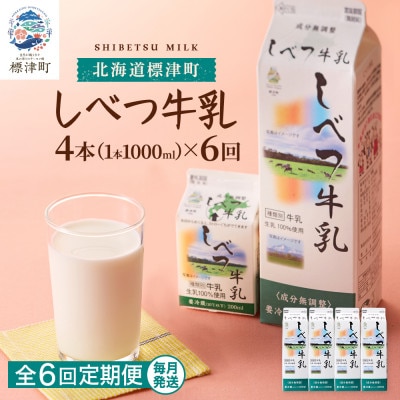 【毎月定期便】【6ヶ月定期便】しべつ牛乳1L×4本　北海道 パックミルク 美味しい全6回