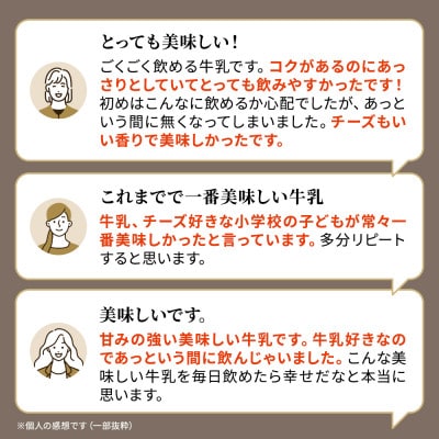【毎月定期便】【3ヶ月定期便】しべつ牛乳4本・標津ゴーダチーズ2袋セット　北海道 詰め合わせ全3回