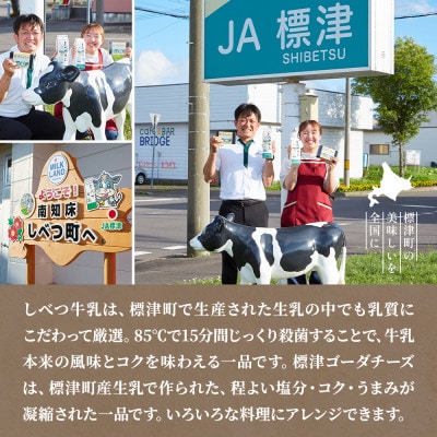 【毎月定期便】【6ヶ月定期便】しべつ牛乳4本・標津ゴーダチーズ2袋セット　北海道 詰め合わせ全6回