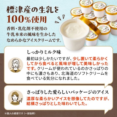 【毎月定期便】しべつ牛乳アイス12個　アイスクリーム 無添加 詰め合わせ全4回