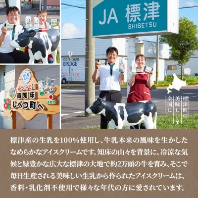 【毎月定期便】しべつ牛乳アイス12個　アイスクリーム 無添加 詰め合わせ全4回