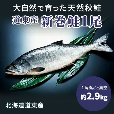 道東産新巻鮭オス(約2.9kg)1尾