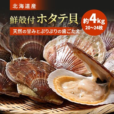 鮮殻付ホタテ貝約4kg 枚 24枚 お礼品詳細 ふるさと納税なら さとふる