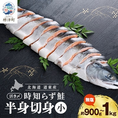 北海道道東産　活き〆時知らず鮭半身切身(小)約900g-1kg 北海道 人気 おすすめ さけ 天然