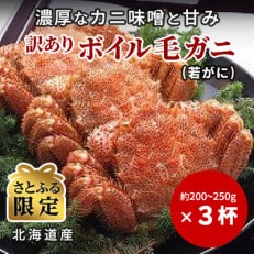 【さとふる限定】北海道産ボイル毛ガニ(若)　200-250g×3杯