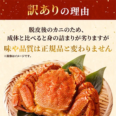 【さとふる限定】北海道産ボイル毛ガニ(若)　200-250g×3杯