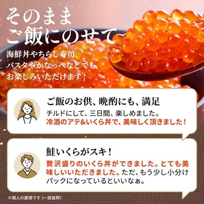【令和6年新物】北海道産塩いくら 500g×1 塩漬け イクラ 北海道 人気 おすすめ さけ 天然