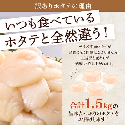 【訳あり】北海道産 帆立貝柱[特A]刺身用 500g×3袋  北海道 人気 おすすめ ホタテ 天然