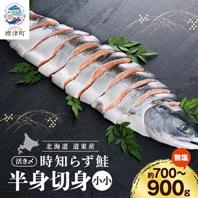 北海道道東産　活き〆時知らず鮭半身切身(小小)約700-900g 北海道 人気 おすすめ さけ 天然