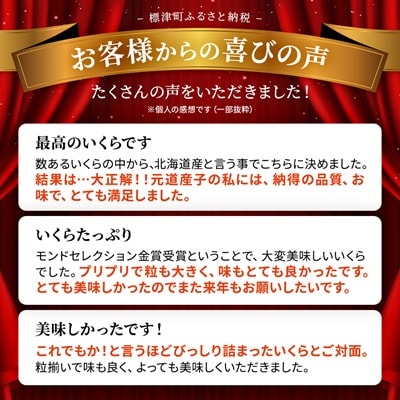 【令和6年新物】北海道産鮭いくら醤油漬(500g) イクラ 北海道 人気 おすすめ さけ 魚卵 天然