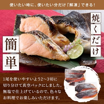 北海道道東産　活き〆時知らず鮭半身切身(中)約1kg-1.3kg 北海道 人気 おすすめ さけ 天然