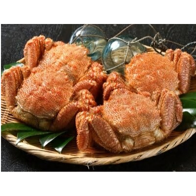 さとふる限定　高級特特特(3とく)の毛ガニ 約150g～200g×4杯