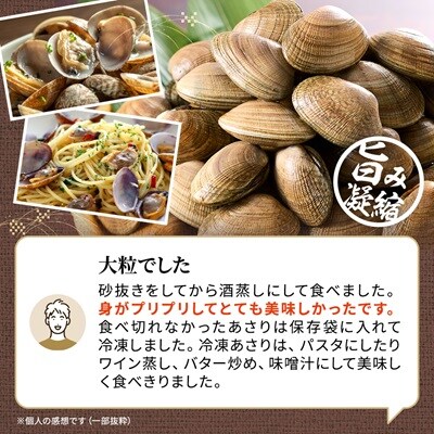 【期間限定】北海道道東産アサリ 大 約3kg(80～130粒)