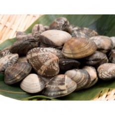 北海道道東産アサリ 中 約3.5kg(210～290粒) | ふるさと納税のお礼品