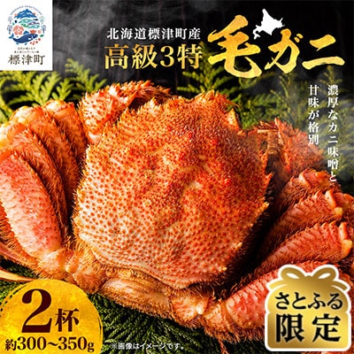 【さとふる限定】高級特特特(3とく)の毛ガニ　約300g～350g×2杯