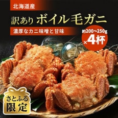 【さとふる限定】【訳あり】北海道産ボイル毛ガニ(若)200～250g×4杯