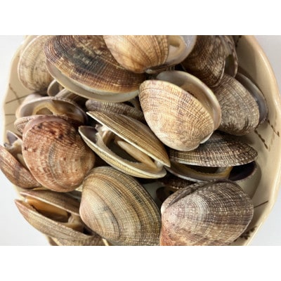 北海道道東産天然アサリ 大 3kg(80～130粒) 冷凍便