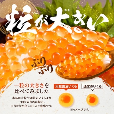 【令和6年新物】北海道産【大粒】醤油いくら　500g×1 イクラ 北海道 人気 おすすめ さけ 魚卵