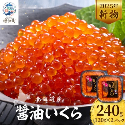 【令和7年新物】醤油いくら120g×2パック