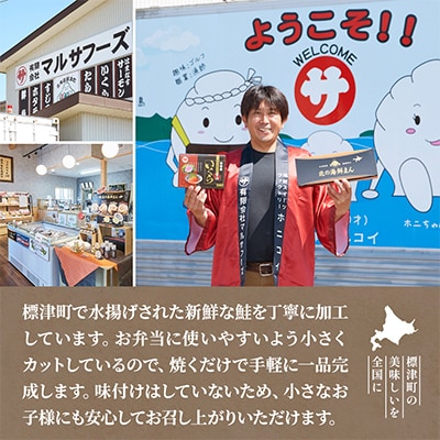 【骨抜き・カット】生鮭切り身 計1kg(500g×2袋)味付け無 北海道産 冷凍 切身 