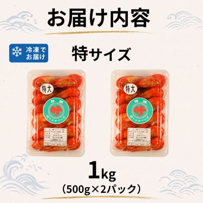 北海道産ボイル北海しまえび　特　1kg