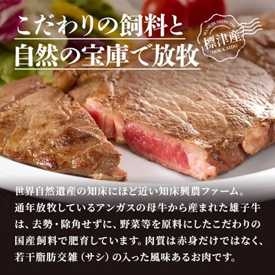 知床興農 牛サーロインステーキ　【放牧牛・グラスフェッドビーフ】　200g×2パック　牛肉 赤身