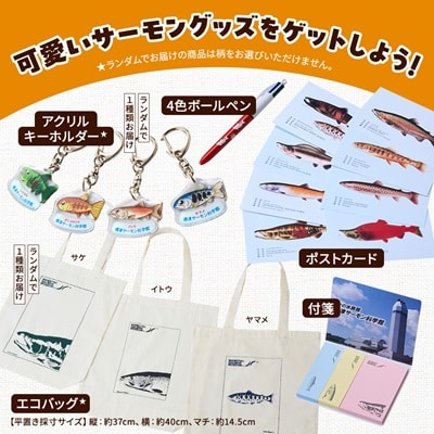 標津サーモン科学館グッズセットA　エコバッグ ポストカード ボールペン 付箋 キーホルダー