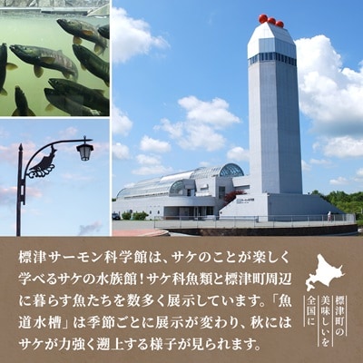 標津サーモン科学館グッズセットA　エコバッグ ポストカード ボールペン 付箋 キーホルダー