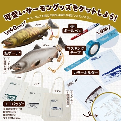 標津サーモン科学館グッズセットC　鮭ポーチ エコバッグ ボールペン マスキングテープ ファイル