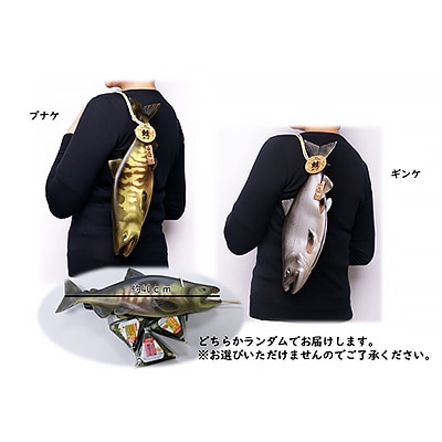 標津サーモン科学館グッズセットD 鮭ポーチ エコバッグ ボールペン クリップ 付箋 コースター