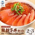 鮭親子丼セット【純標津産】2～3人前用 イクラ 北海道 人気 おすすめ サケ サーモン 魚卵 天然