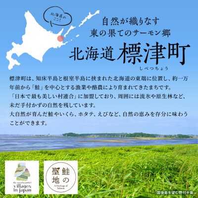 【返礼品なし】北海道標津町の町民の笑顔輝くまちづくりを応援!(10,000円)