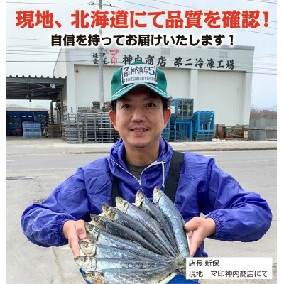 マ印 前浜にしん一夜干し　3枚×3p　北海道標津