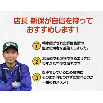 マ印北海しまえび　200g×2パック　標津産　