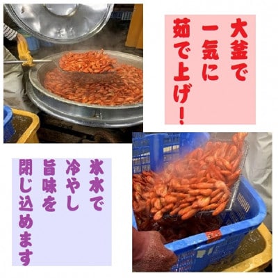 マ印北海しまえび　200g×2パック　標津産　