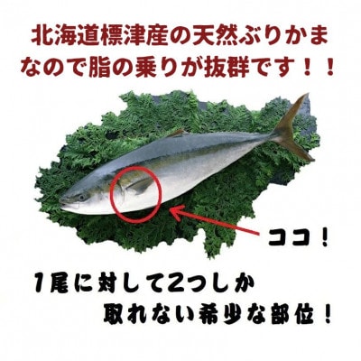 マ印　天然ぶりかま　北海道標津産　3切れ×2p