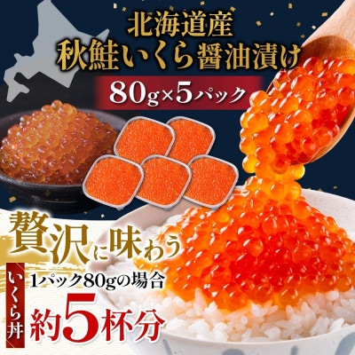 塩いくら 80g 5パック 計400g イクラ 手作り 山十前川商店 北海道 標津町