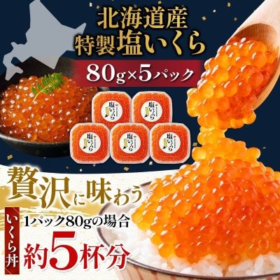 塩いくら 80g 5パック 計400g イクラ 手作り 山十前川商店 北海道 標津町
