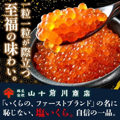塩いくら 80g 10パック 計800g イクラ 手作り 山十前川商店 北海道 標津町