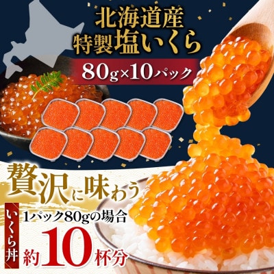 塩いくら 80g 10パック 計800g イクラ 手作り 山十前川商店 北海道 標津町
