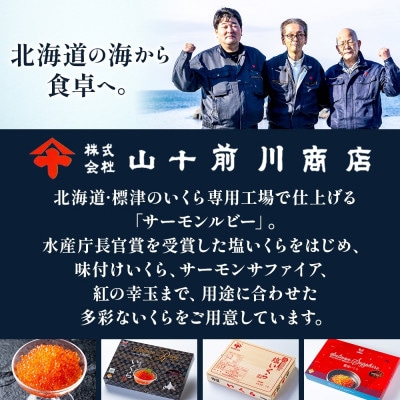 塩いくら 80g 10パック 計800g イクラ 手作り 山十前川商店 北海道 標津町