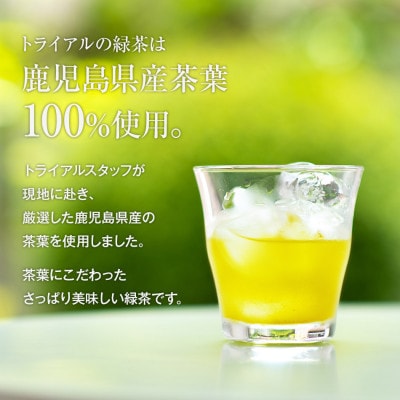 トライアルのお茶満載セット(緑茶2L×6本・烏龍茶2L×6本・緑茶500ml×24本)