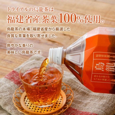 トライアルのお茶満載セット(緑茶2L×6本・烏龍茶2L×6本・緑茶500ml×24本)