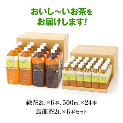 トライアルのお茶満載セット(緑茶2L×6本・烏龍茶2L×6本・緑茶500ml×24本)