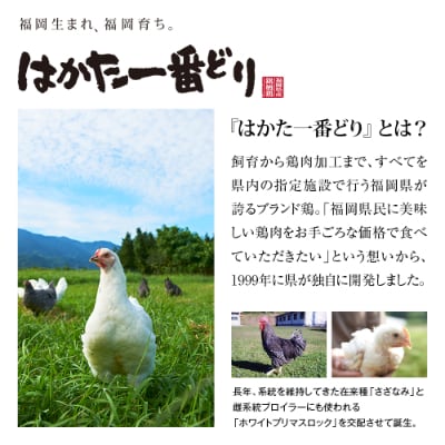 はかた一番どり胸肉500g×12パック